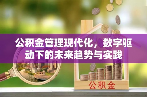 梅县公积金管理现代化，数字驱动下的未来趋势与实践