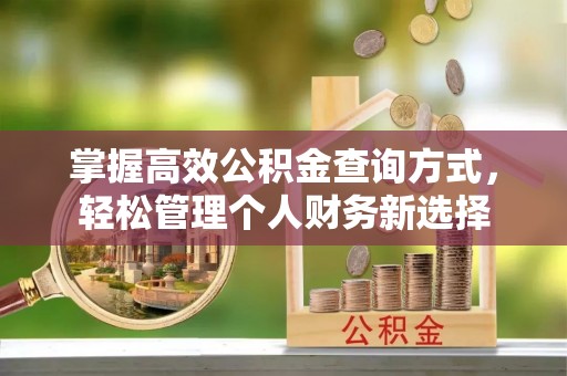 梅县掌握高效公积金查询方式，轻松管理个人财务新选择