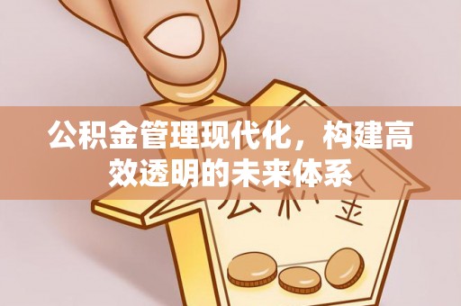 梅县公积金管理现代化，构建高效透明的未来体系