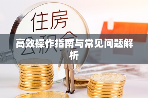 梅县高效操作指南与常见问题解析