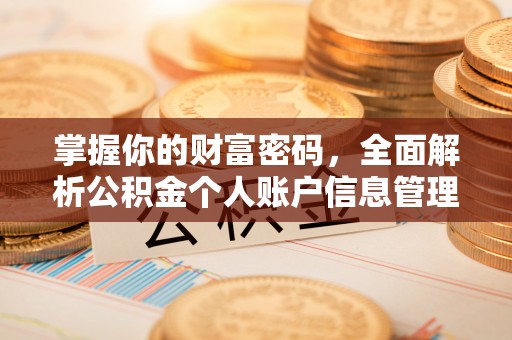 梅县掌握你的财富密码，全面解析公积金个人账户信息管理与优化