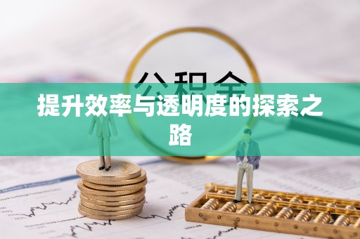 梅县提升效率与透明度的探索之路