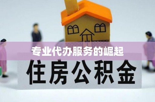 梅县专业代办服务的崛起