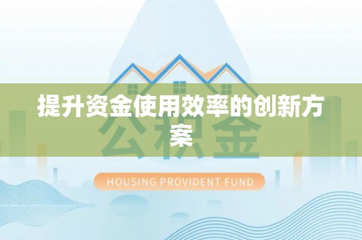 梅县提升资金使用效率的创新方案