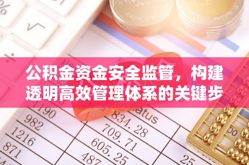梅县公积金资金安全监管，构建透明高效管理体系的关键步骤