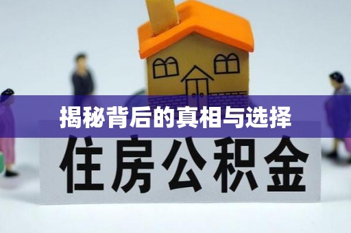 梅县揭秘背后的真相与选择