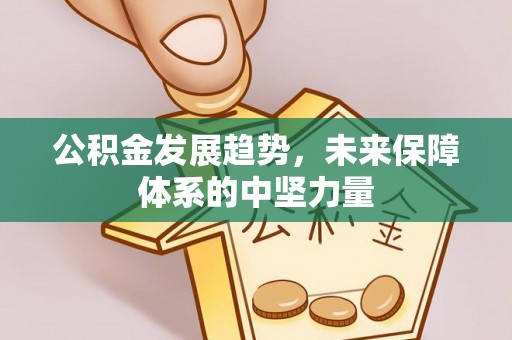 梅县公积金发展趋势，未来保障体系的中坚力量