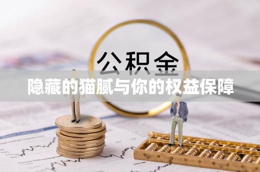 梅县隐藏的猫腻与你的权益保障