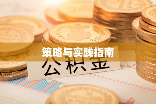 梅县策略与实践指南
