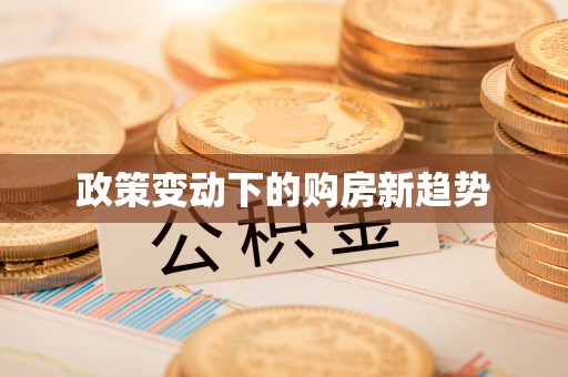 梅县政策变动下的购房新趋势