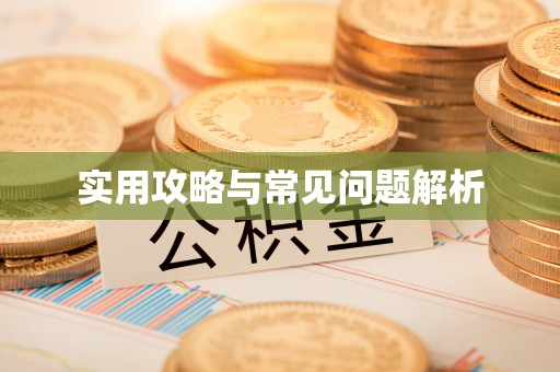 梅县实用攻略与常见问题解析