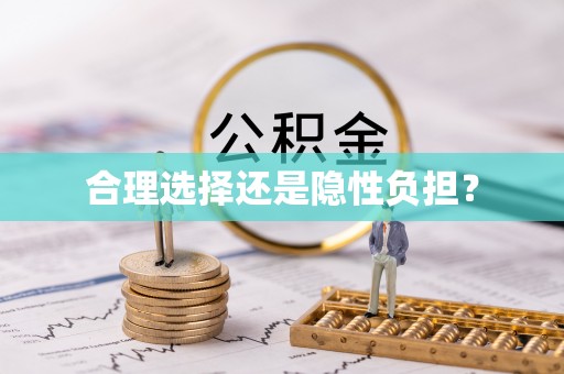 梅县合理选择还是隐性负担？