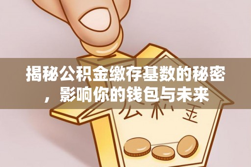 梅县揭秘公积金缴存基数的秘密，影响你的钱包与未来