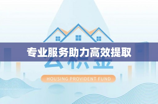 梅县专业服务助力高效提取