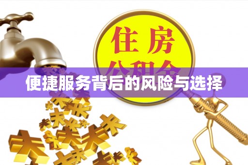 梅县便捷服务背后的风险与选择