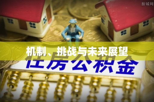 梅县机制、挑战与未来展望